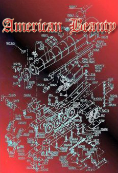 American Beauty Diagrams and Information